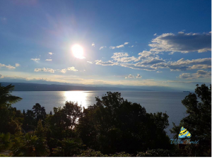 1. Cover photo-Sunset balcony view with logo